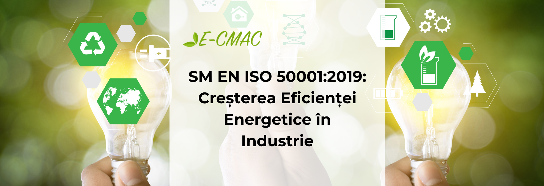 Imagine reprezentând creșterea eficienței energetice în industrie prin standardul SM EN ISO 50001:2019