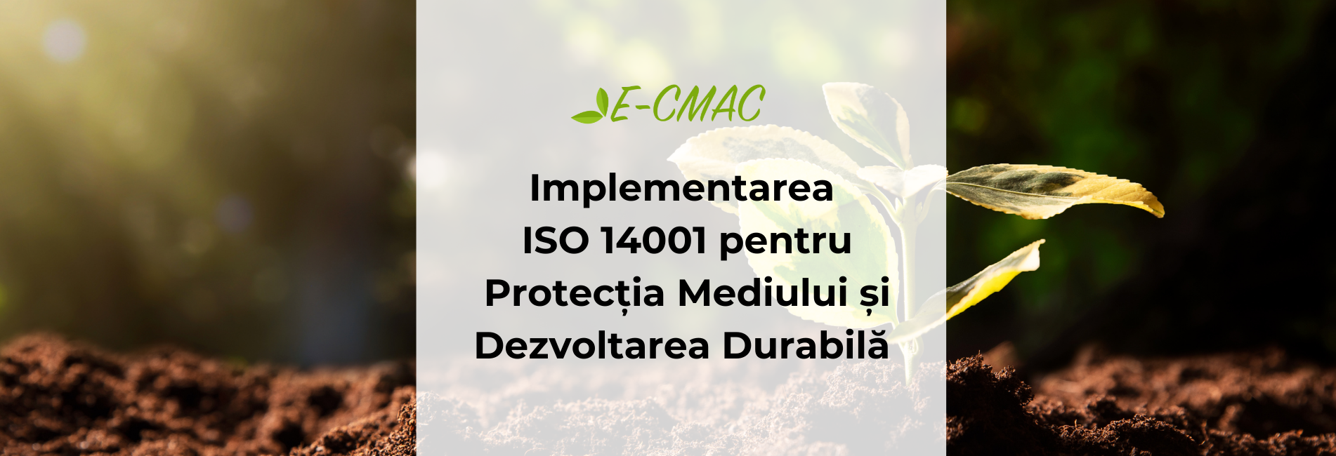 Implementarea ISO 14001 pentru Protecția Mediului și Dezvoltarea Durabilă