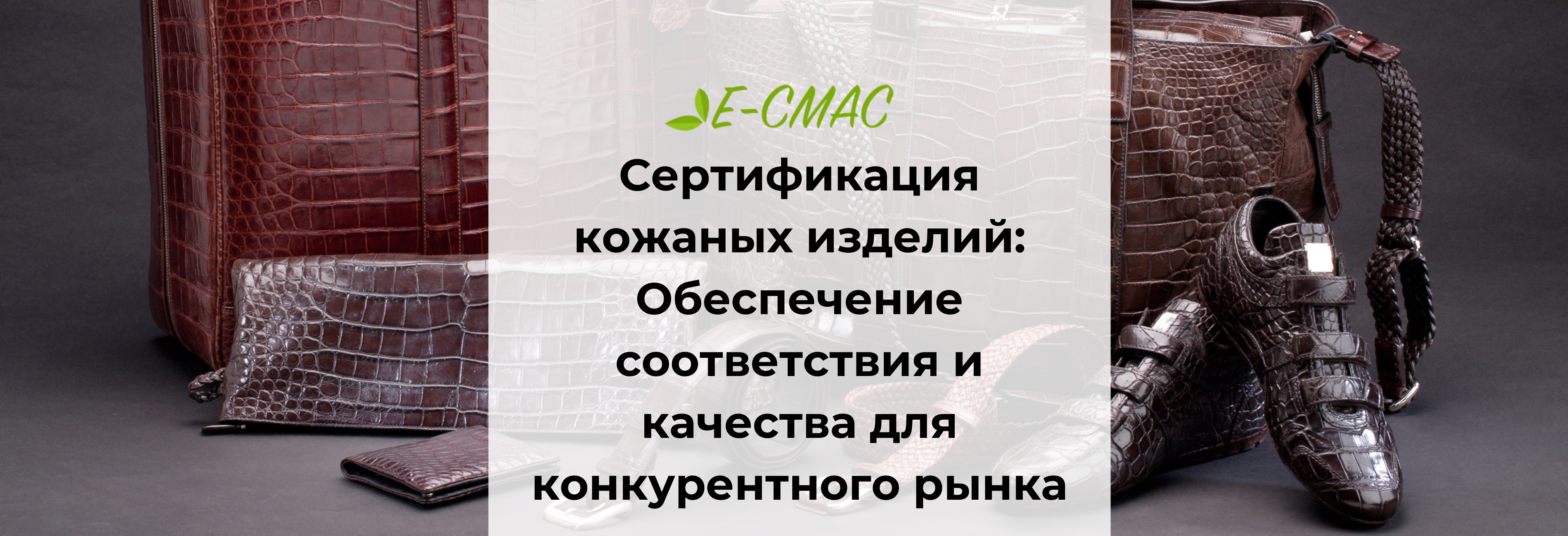 Сумки, кошельки и обувь из натуральной кожи на нейтральном фоне — символ качества и соответствия продукции