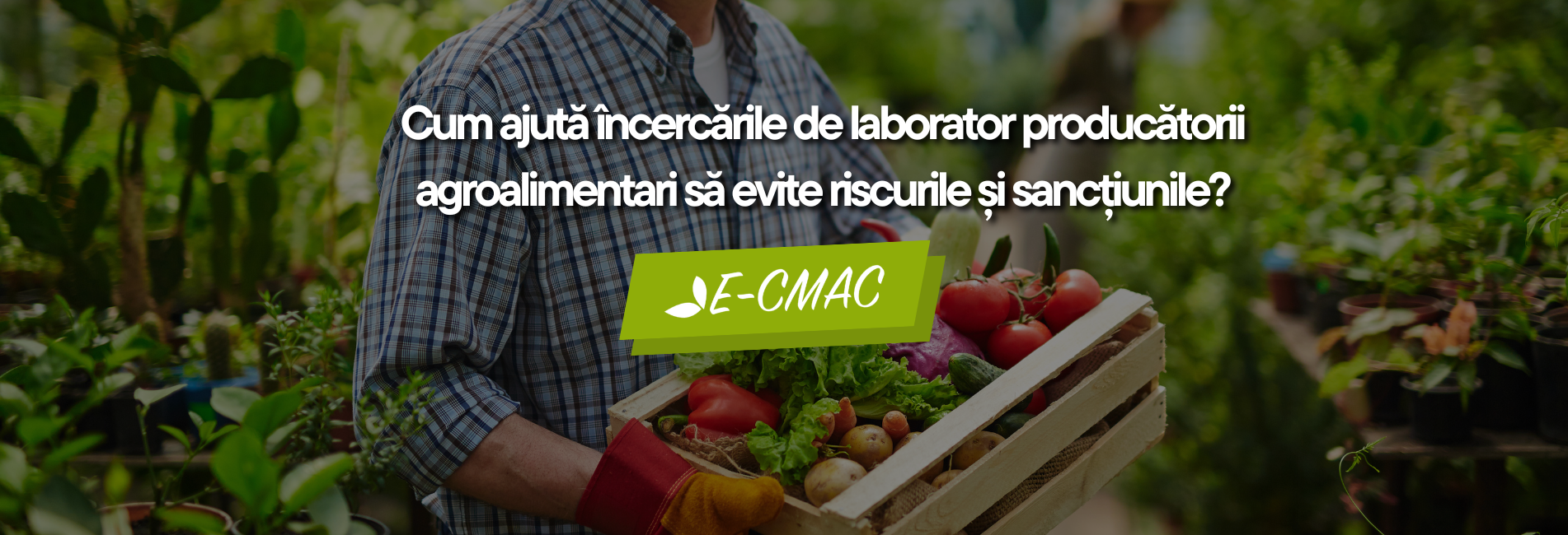 Producător agroalimentar în grădină, cu o ladă de legume – simbol al controlului calității și încercărilor de laborator.