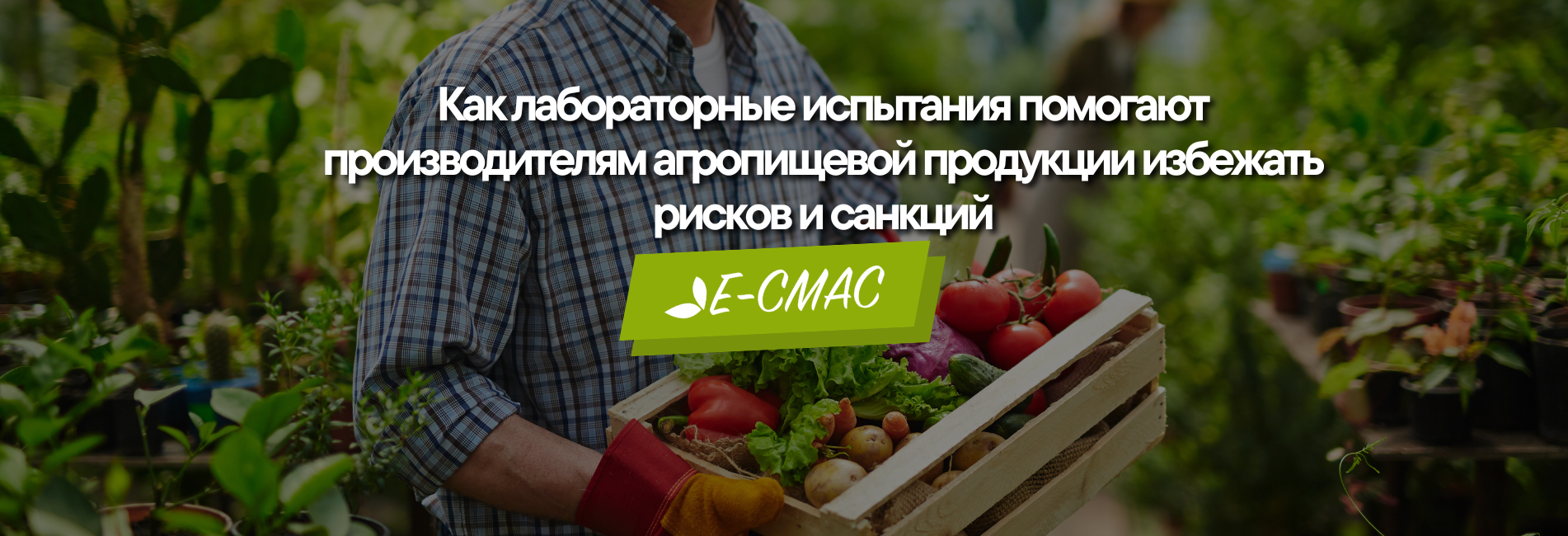 Агропроизводитель в саду с ящиком овощей — символ контроля качества и лабораторных испытаний.