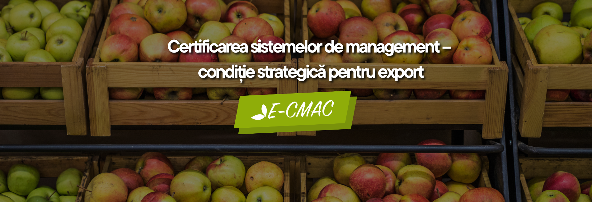 Lăzi cu mere în contextul exportului de produse agroalimentare