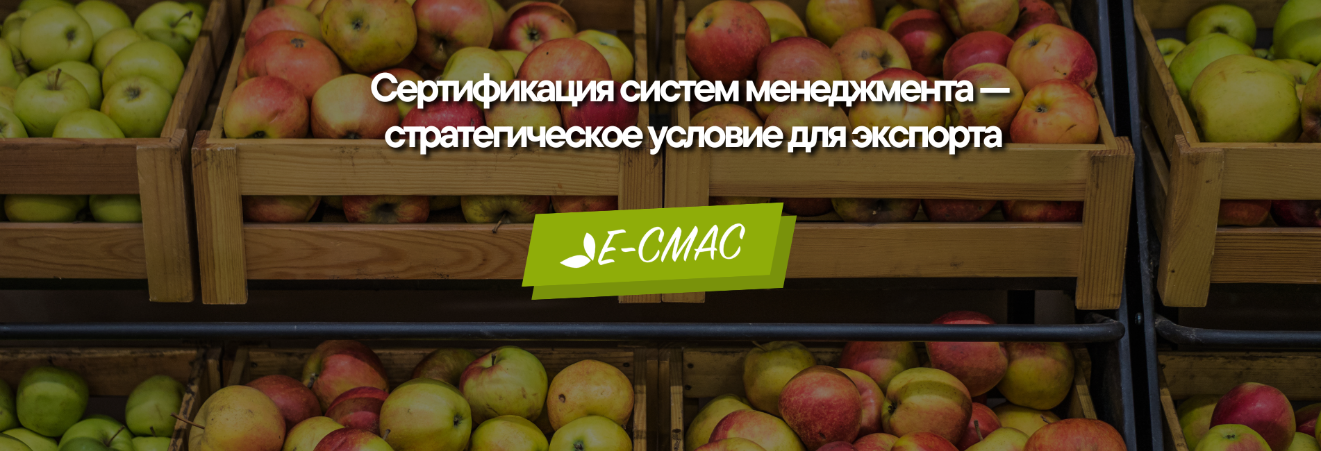 Ящики с яблоками в контексте экспорта пищевой продукции