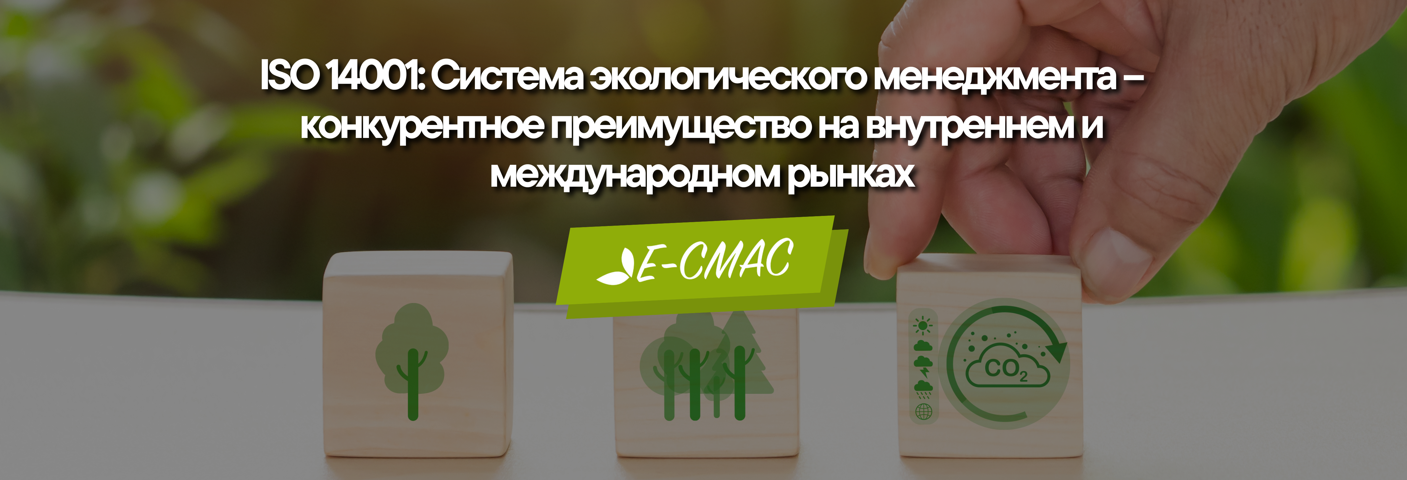 Сертификация ISO 14001 – управление окружающей средой для конкурентоспособности на внутреннем и международном рынке
