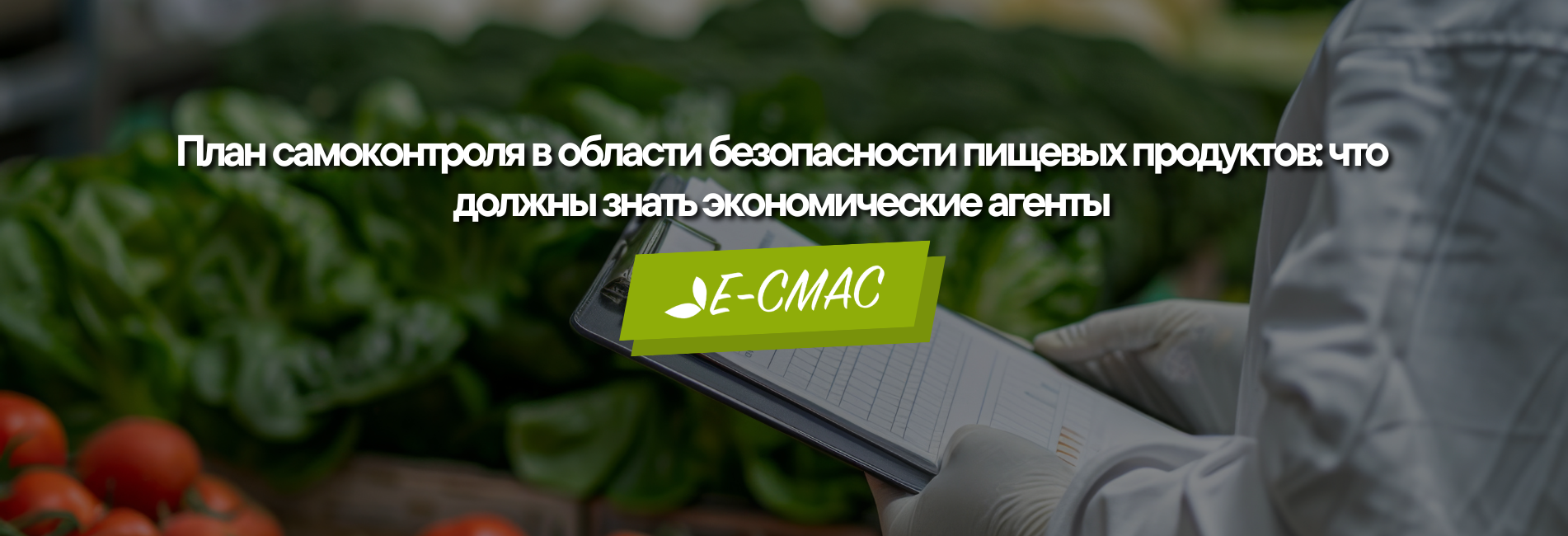 План самоконтроля в сфере безопасности пищевых продуктов