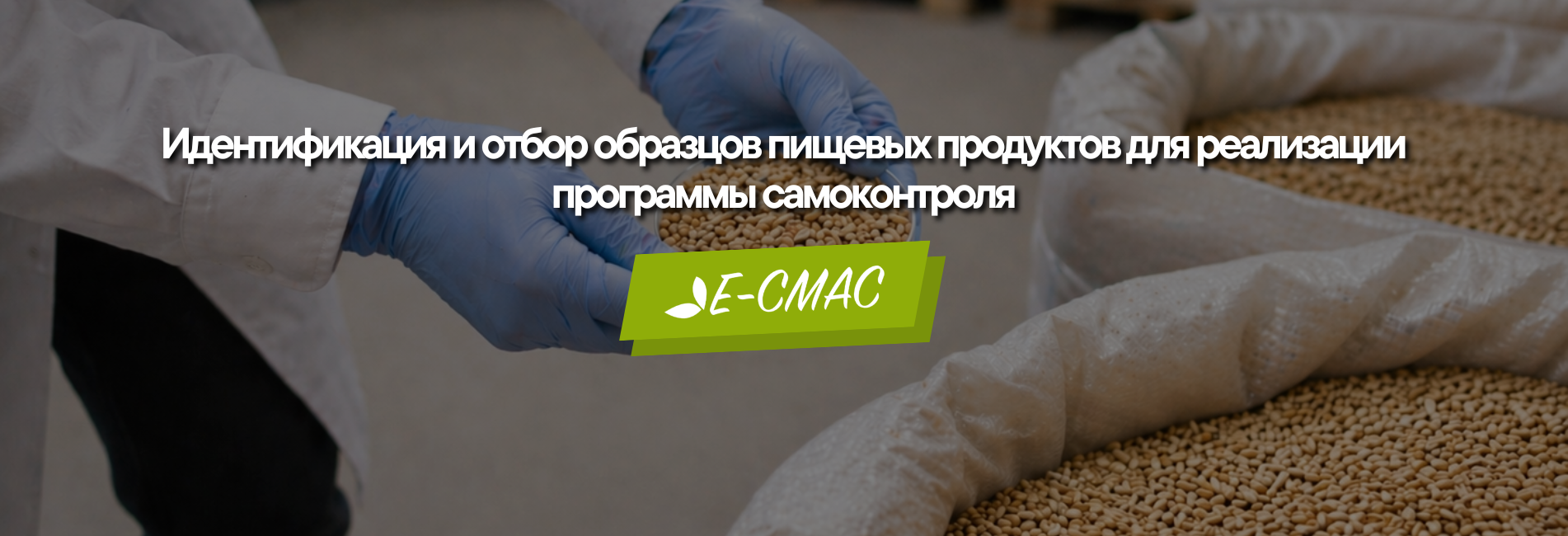 Идентификация и отбор образцов пищевых продуктов для программы самоконтроля